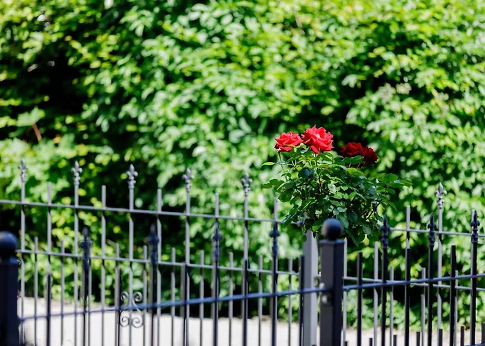Haus Am Muehlenweg - Modern Und Lichtdurchflutet דירה באד וויריסהופן