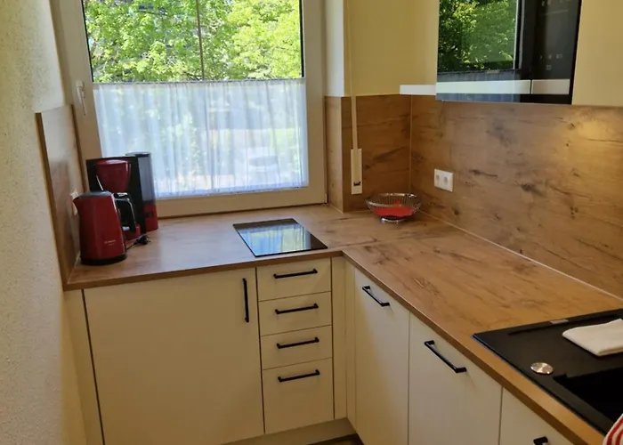 Haus Am Muehlenweg - Modern Und Lichtdurchflutet Apartment *